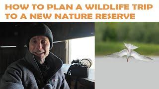 HOW TO PLAN A WILDLIFE PHOTOGRAPHY TRIP