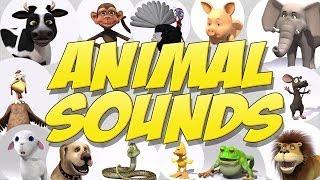 Learn Animal Sounds