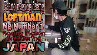 Loftman Duties / What is it like being the Loftman of the Number 1 Breeder in Japan