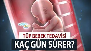 Tüp Bebek Tedavisi ve Yumurta Toplama İşlemi Ne Kadar Sürer?