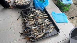 Bermacam ada jual di Tamu Bekenu, udang Galah pun banyak disini