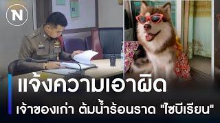 แจ้งความเอาผิดเจ้าของเก่า ต้มน้ำร้อนราด "ไซบีเรียน" | เนชั่นทันข่าวค่ำ | NationTV22