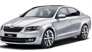 Восстановление амортизатора   Skoda Octavia (Шкода Октавия)