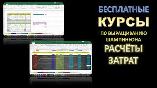 Курсы по выращиванию шампиньонов. Грибы! Бизнес в гараже и себестоимость! #DENLife