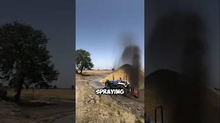 why are these farmers spraying hay like this?