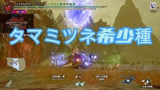 [Switch版MHR:SB] タマミツネ希少種にフルバレットファイアを決めていく Violet Mizutsune #ガンランス #サンブレイク