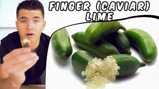 Finger Lime