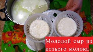 Сыр из козьего молока