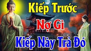 Kiếp Trước Nợ Gì Kiếp Này Trả Đó Phật Dạy Nhân Quả Báo Ứng Không Trừ Một Ai - Thiện Duyên Phật Pháp