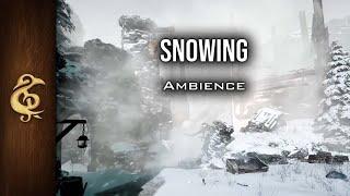 Snowing  | Winter Ambience | Icewind Dale | 3 Hours