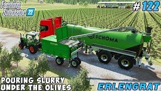 Different strategies fertilizing olives & grapes, manure spreading | Erlengrat Farm | FS 22 | #122