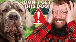 TOP 10 BREEDS NOT FOR FIRST TIME OWNERS