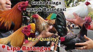 Madami talangang quality na manok dito sa Lipa Batangas