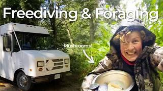 VanLife across the border Freediving foraging in Washington