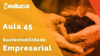 Responsabilidade social além do âmbito de sua empresa - Sustentabilidade Empresarial | Aula 45