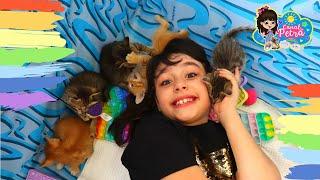 MEUS GATINHOS BEBÊS FILHOTES FOFOS ESTÃO CRESCENDO !!! VLOG DA PETRA