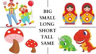 Big - Small , Long - Short , Tall - Short , Same size. Learn and compare sizes for kids .