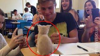 When your cat becomes beloved school mascot Funny Cat and Human 