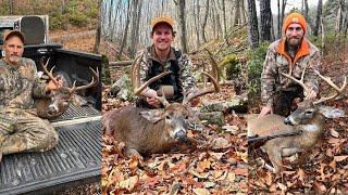 Virginia Mountain Whitetail 2023