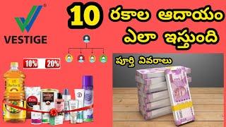 vestige business plan in telugu | vestige Telugu | 10 types income | full details in Telugu|vestige.