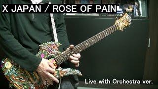  【X JAPAN】ROSE OF PAIN (LIVE with Orchestra ver.) ギター guitar cover