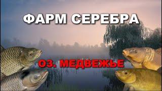 ФАРМ СЕРЕБРА НА МЕДВЕЖКЕ || РР4