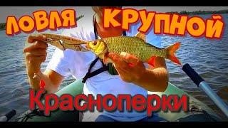 Лучшая рыбалка!!! Ультралайт, ловля крупной красноперки.