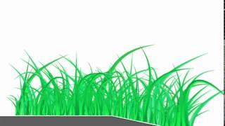 How to draw grass in adobe illustrator