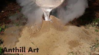 Five Fire Ant Colony Casting Session Part 2: Cast 3