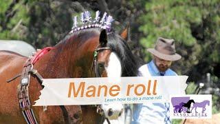 Learn how to do a basic mane roll