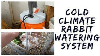 How To Set Up Rabbit Watering System That Does Not Freeze