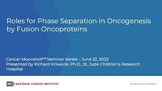 Roles for Phase Separation in Oncogenesis by Fusion Oncoproteins