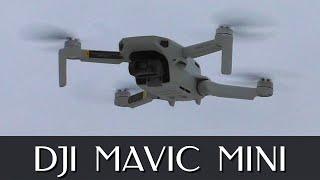 Обзор квадрокоптера DJI Mavic Mini | Примеры видео и фото