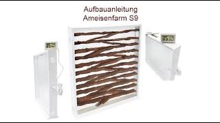 Aufbauanleitung Ameisenfarm S9