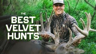 The Best Velvet Hunts!