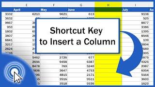 Shortcut Key to Insert a Column in Excel (Excel Shortcuts)