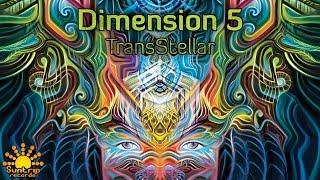 Dimension 5 - Temple Of Chaos