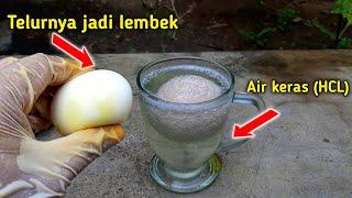 EXPERIMENT EGGS IN HARD WATER DRINKS - DIRECTLY RUINED