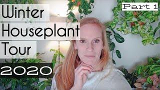 Winter Houseplant Tour part 1 | Houseplant Tour 2020 | Plant Tour