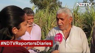 Election Results 2022: "Voted for BJP, No Better Alternative" Farmers at West UP's Muzaffarnagar