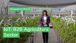 IoT: Powering the Digital Economy - The B2B Agriculture Sector | Schneider Electric