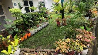 Cara Menata Taman Depan Rumah Bagi Pemula