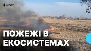 Пожежі на Житомирщині: за 10 днів березня вигоріло 650 гектарів