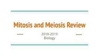 Mitosis & Meiosis Review