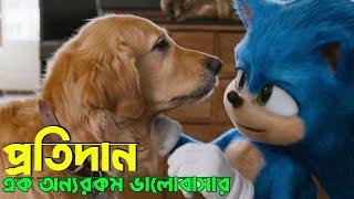 Sonic The HedgeHog 2020 Explained in Bangla | প্রতিদান এক অন্যরকম ভালোবাসার | Spyboi Explainer