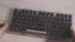 UNBOXING PRESSPLAY BLACK PBT JAPANESE ROOT KEYCAPS