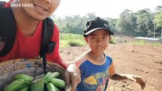 Kami turun dari bukit, keluar hutan menuju kota