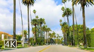 [4K] Palm Tree Lined Streets in Beverly Hills - Beverly Dr