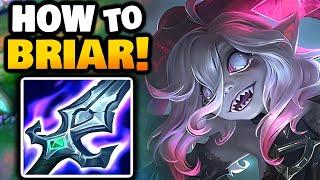 How to BRIAR Jungle | 14.17