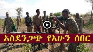 አስደንጋጭ ሰበር መረጃ | zehabesha | the habesha | feta daily | z habesha | ethiopia,ethiopian news today